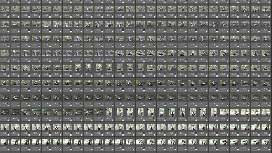 dierfotografie